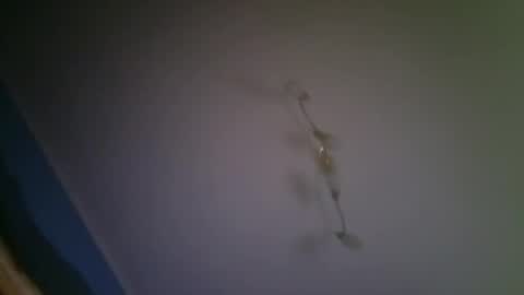 larry009 online show from 12.15.25