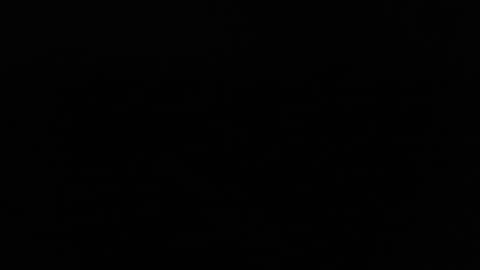 larry77733217 online show from 02.11.25