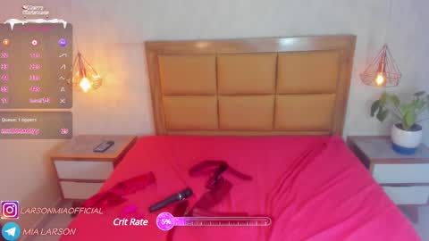 Snapshot of larsonmia chatting on 12.30.24 MIA online show from 12.30.24