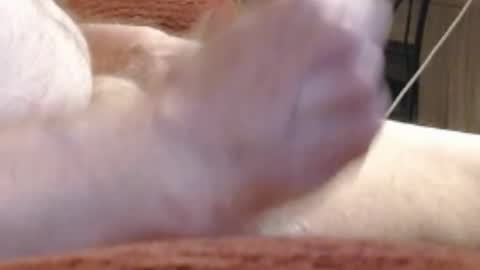 laststeven online show from 12.17.24