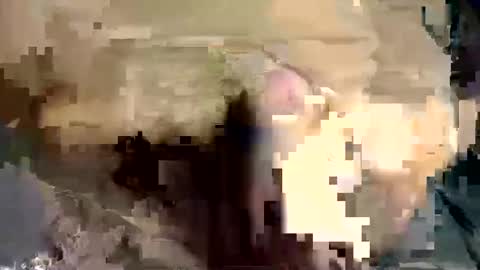 joseph online show from 12.05.24