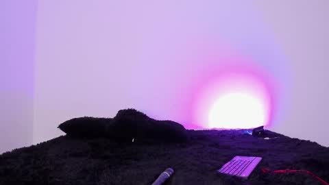 laurensmith9 online show from 09.26.25