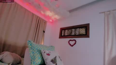 Snapshot of lauu_g chatting on 01.28.25 Lauu G online show from 01.28.25