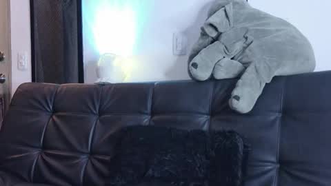    online show from 03.14.26