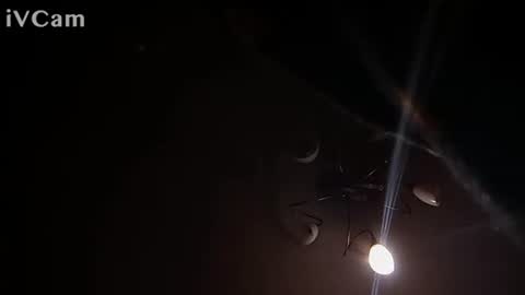 laydayy online show from 01.12.26