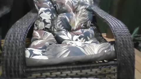 kelly online show from 12.21.25