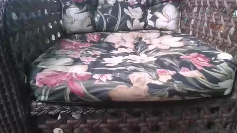 kelly online show from 02.15.26