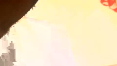 Snapshot of legal4 chatting on 03.11.26 legal4 online show from 03.11.26