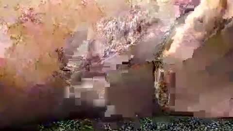 legofactory online show from 01.27.25