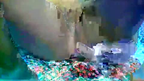 leilah_hope online show from 02.16.26