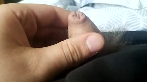 leo20the20masteg201252 online show from 04.14.26