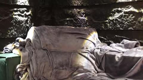 Snapshot of leo_diaz01 chatting on 11.30.25 Leo Diaz online show from 11.30.25