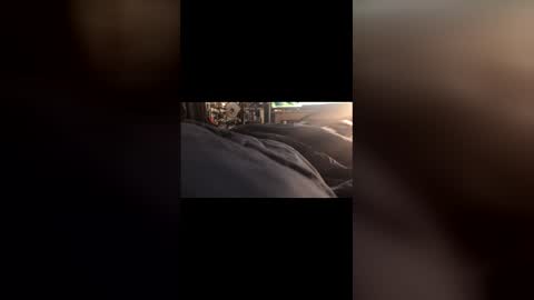 Snapshot of leongent chatting on 03.01.26 Leon online show from 03.01.26