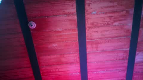 Lenardo jaramillo online show from 12.13.24