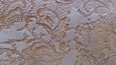 Snapshot of leoroman chatting on 02.06.25 leoroman online show from 02.06.25