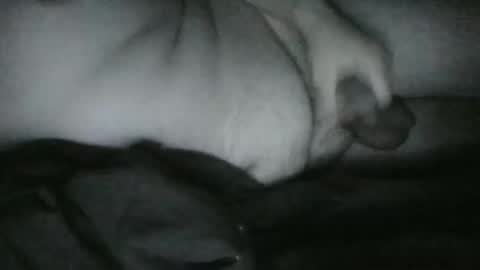 Rayne online show from 12.25.24