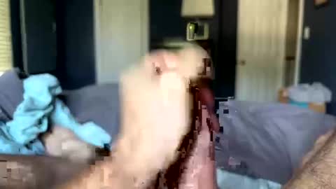 letmecumforyou71 online show from 09.20.25