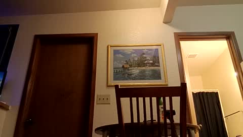 letsplay361 online show from 03.04.25