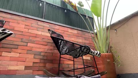 Snapshot of lettali chatting on 03.21.26 follow me here you find me online show from 03.21.26