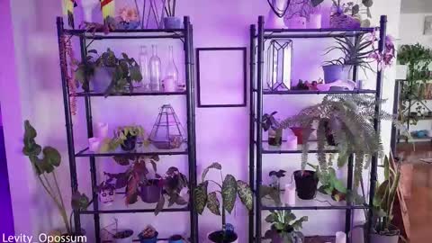 Snapshot of levity_opossum chatting on 11.28.25 Levity online show from 11.28.25