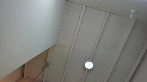 Snapshot of levy_steve chatting on 11.24.25 LevySteven online show from 11.24.25