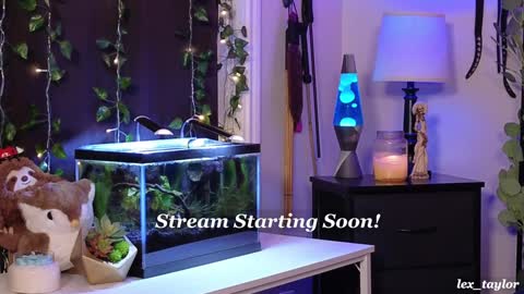 Snapshot of lex_taylor chatting on 12.19.24 Lex online show from 12.19.24