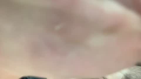 Snapshot of lexiejohnson233 chatting on 12.02.25 lexiejohnson233 online show from 12.02.25