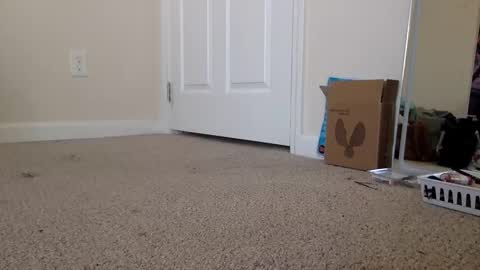 Alexia L. online show from 11.19.25