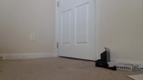 Alexia L. online show from 02.06.26