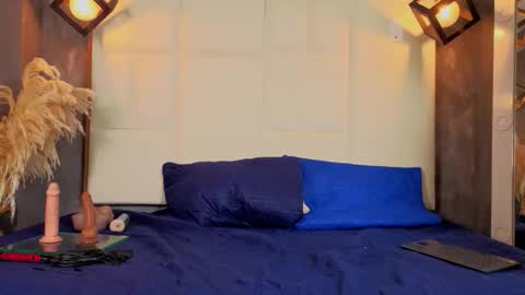 Snapshot of liam_forest_ chatting on 01.17.26 Liam forest online show from 01.17.26