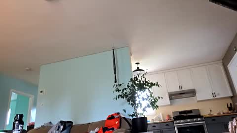 Snapshot of lickurpussygood40 chatting on 10.24.25 lickurpussygood40 online show from 10.24.25