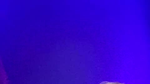 LickYourYoni online show from 12.02.24