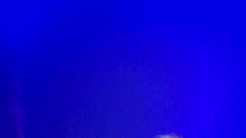 LickYourYoni online show from 01.13.25