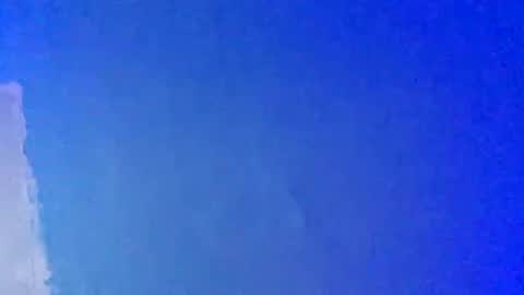 LickYourYoni online show from 03.01.25