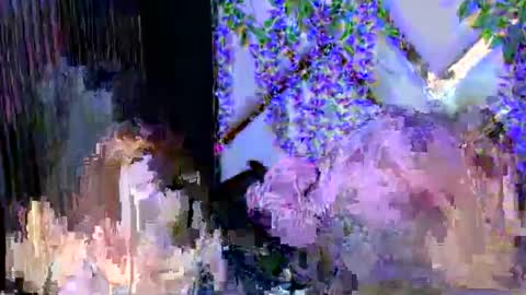 Snapshot of liinzy_rouse chatting on 12.03.25 Brittany online show from 12.03.25