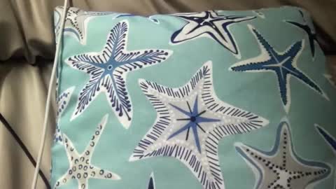 Snapshot of likefhot chatting on 11.17.25 likefhot online show from 11.17.25