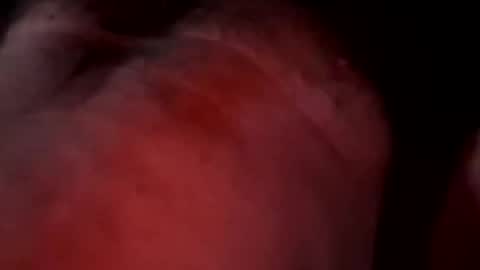 Liketoplay online show from 03.20.26