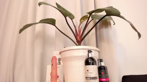 Snapshot of lila_elliot chatting on 01.15.25 Lila online show from 01.15.25