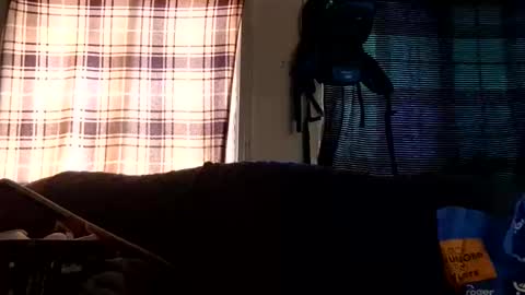 Snapshot of lildurke65 chatting on 02.10.26 lildurke65 online show from 02.10.26