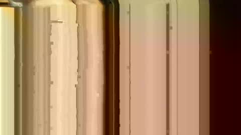 Sasquatch online show from 02.24.26