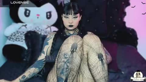   online show from 01.13.26