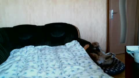 Snapshot of lilithris chatting on 04.01.26 Lenkaa777 online show from 04.01.26