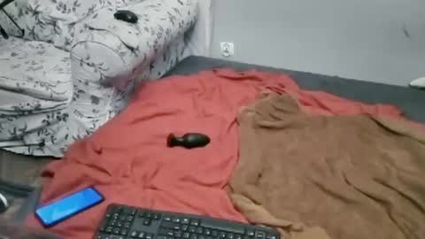 Lilli Sissy SlutCat online show from 07.02.26