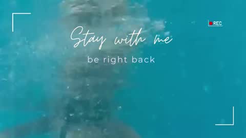 Lily online show from 09.25.25