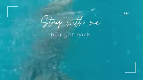 Lily online show from 11.10.25