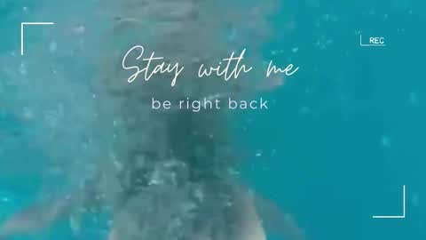 Lily online show from 02.18.26