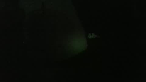 Snapshot of lily_lovelyman_ chatting on 12.26.24 lily lovelyman online show from 12.26.24