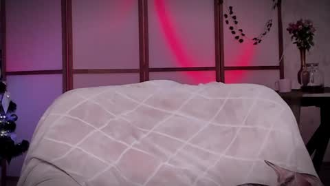 Lina -  online show from 12.16.24