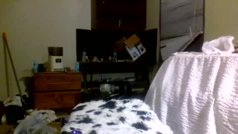 Richie Rich online show from 12.30.24