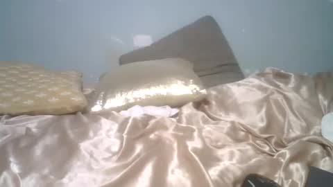 Snapshot of lincolnlongdick chatting on 03.24.26 Richie Rich online show from 03.24.26